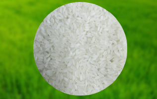 Swarna Raw Rice